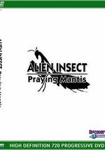 异形昆虫：螳螂