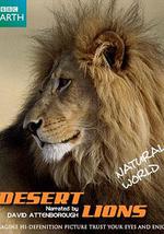 自然世界：沙漠狮
