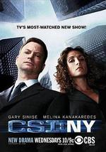 犯罪现场调查：纽约 第五季