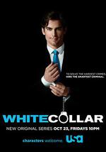 妙警贼探 第一季