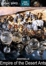 BBC 自然世界：沙漠蚂蚁帝国