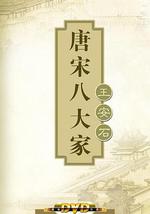 百家讲坛—唐宋八大家之王安石