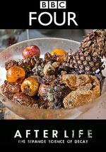 生命循环：奇异的腐烂科学