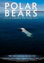 北极熊：一个夏天的奥德赛