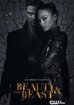 侠胆雄狮 第三季