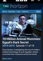 BBC地平线.七千万动物木乃伊.古埃及的暗黑秘密