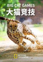 大猫竞技