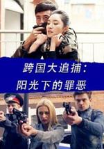 跨国大追捕：阳光下的罪恶