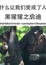 什么让我们变成了人——黑猩猩之启迪