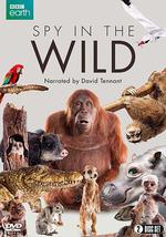 荒野间谍 第一季