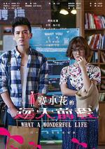 赛小花的远大前程