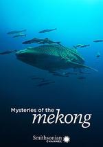 湄公河之谜