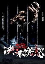 怨灵岛之决不饶恕