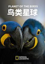 鸟类星球