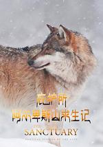 庇护所：阿尔卑斯山求生记