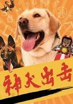 神犬出击