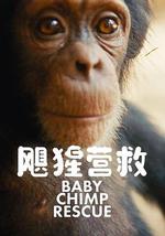 飓猩营救