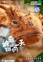 神奇动物的一天 第一季
