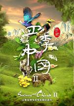 四季中国 第二季