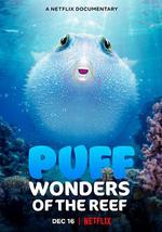 河豚之家：神奇的珊瑚礁