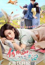 何加加的桃花源记