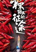 辣椒的征途