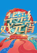2025山东卫视元宵特别节目