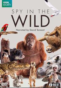 荒野间谍 第一季