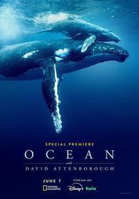 大卫·爱登堡：海洋