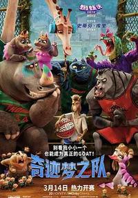奇迹梦之队